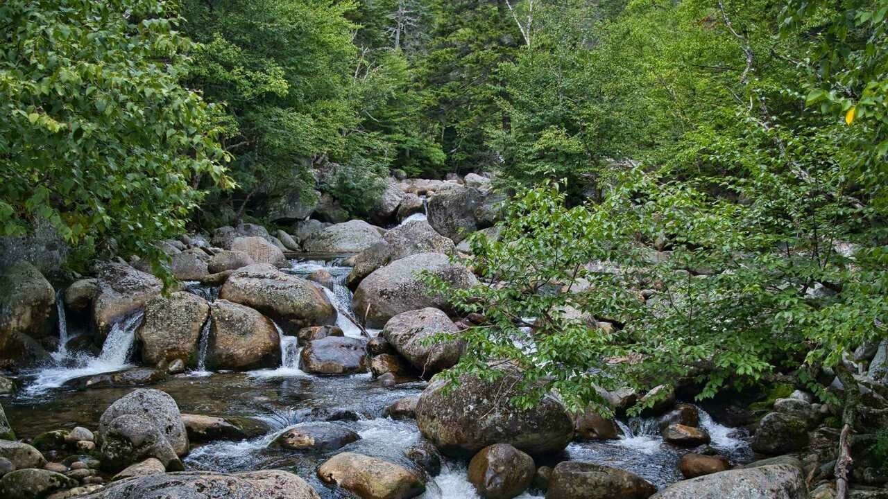 Река камни фото Картина на холсте 40x60 LinxOne "Камни, река, вода, пейзаж" интерьер для дома / 