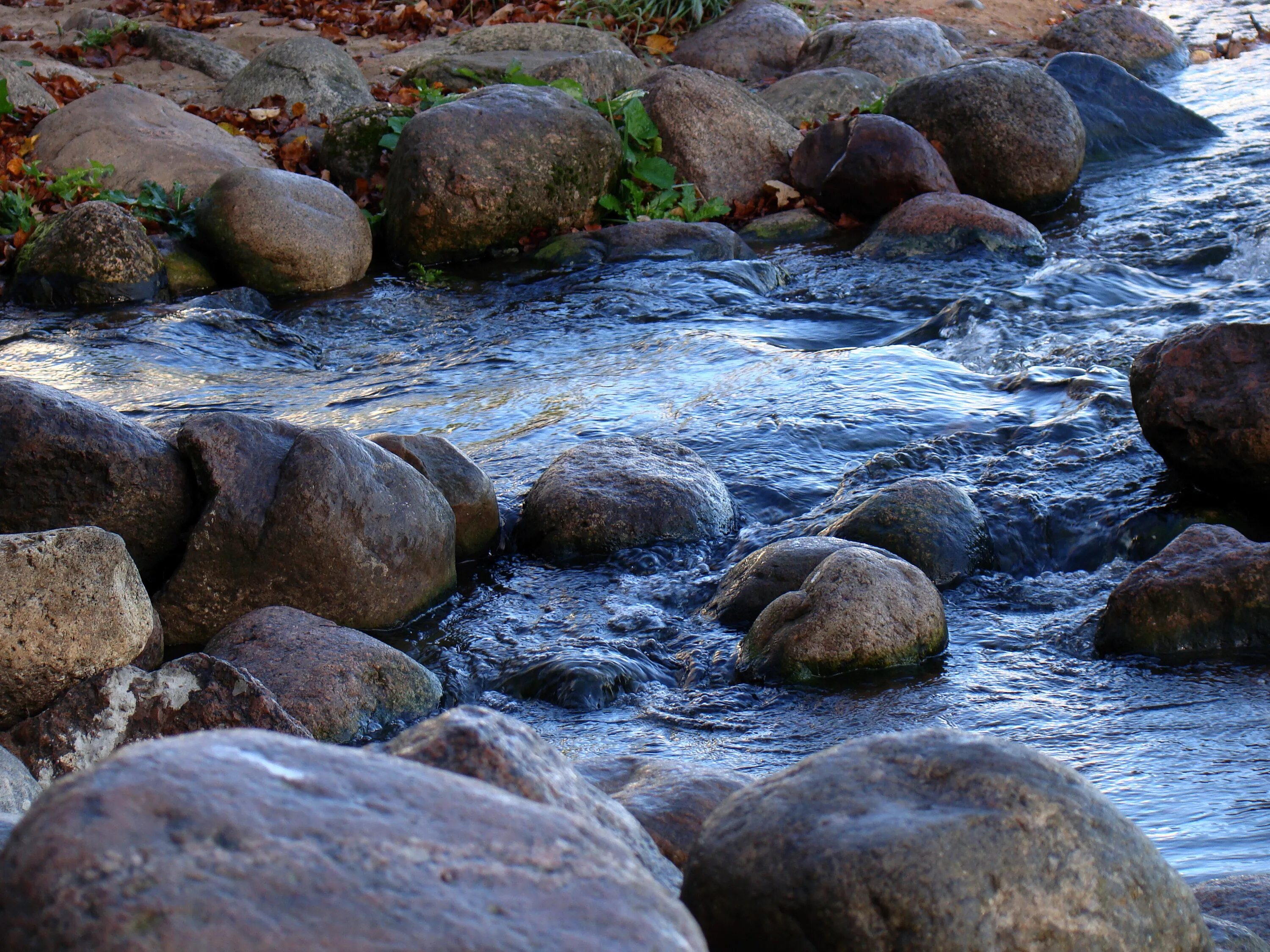 Река камни фото Free Images : landscape, sea, coast, nature, rock, creek, wilderness, shore, riv