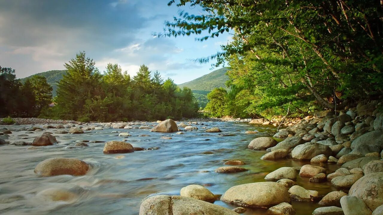 Река камни фото Relaxing Rain & Soothing River Sounds Near a Beautiful Waterfall in the Rocky Mo