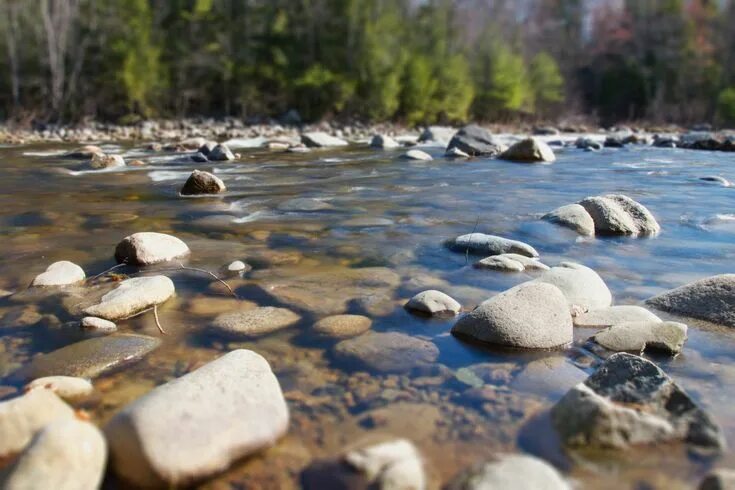 Река камни фото Fill Me, Use Me Rock river, River stones, River