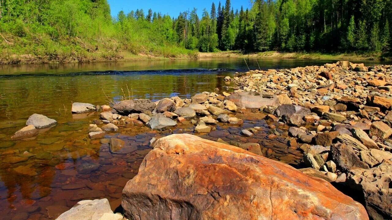 Река камни фото Прокладки для тайга 550 - купить по низкой цене на Яндекс Маркете