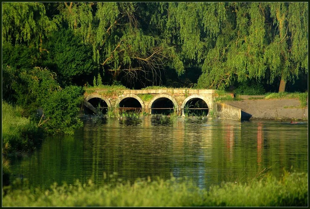 Река капельная ессентуки фото Фото Заброшенный пруд. Ессентуки в городе Ессентуки