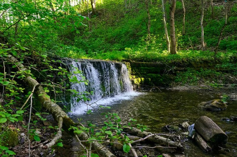 Река караста исток фото Неизвестные водопады в Копорье. - История моей жизни - LiveJournal