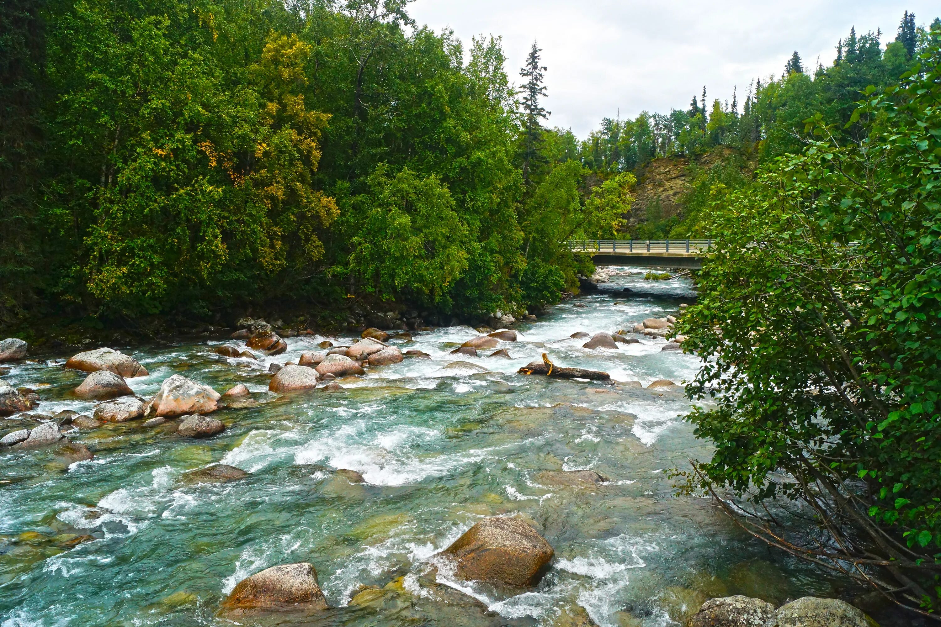 Река карла фото Free Images : forest, creek, wilderness, hiking, river, valley, stream, scenic, 