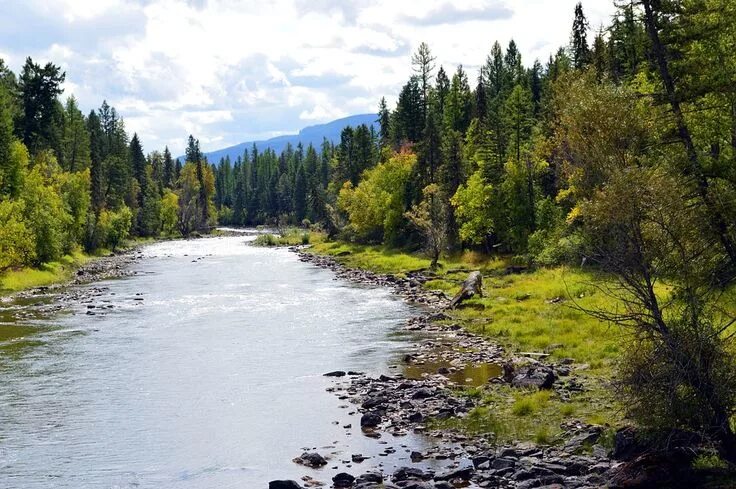 Река карла фото Montana River Landscape - Free photo on Pixabay River, Outdoor, Montana fishing