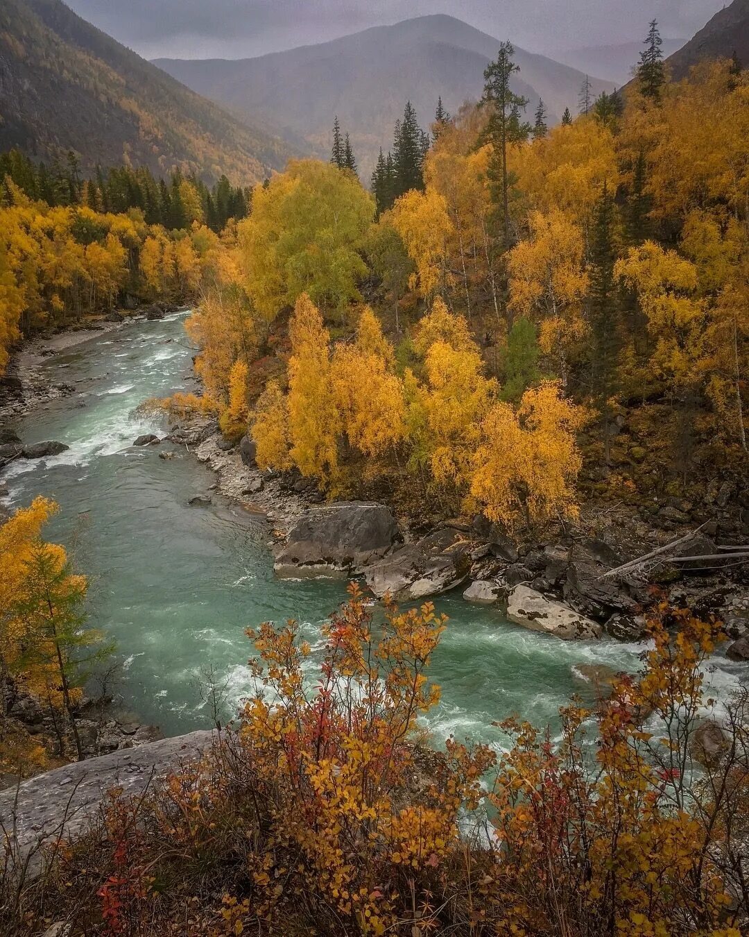 Река катунь осенью фото Pin on *Nature Nature, Outdoor, River