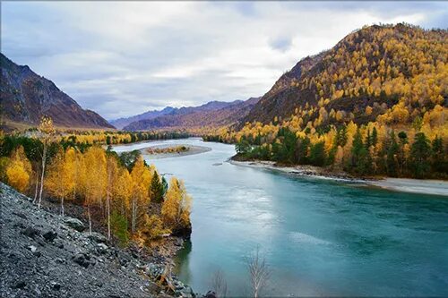 Река катунь осенью фото День туризма