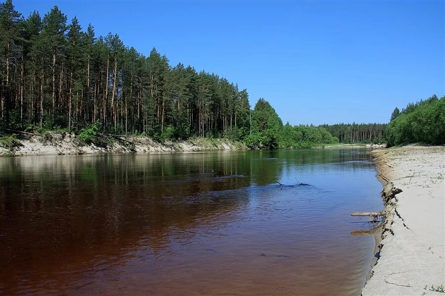 Река керженец фото Фото жизнь - Андрей Образцов - Природа - На заповедном берегу реки Керженец