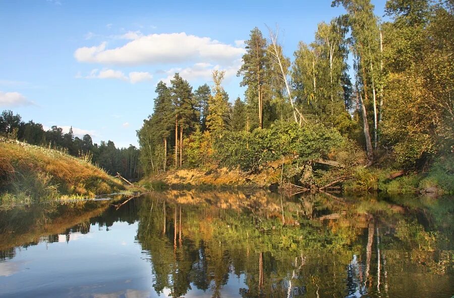 Река керженец фото Керженец нижний новгород фото YugNash.ru