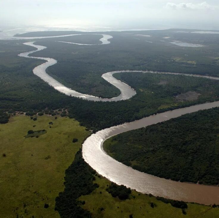 Река конго фото Saadani River Lodge #Tanzania #Africa National parks, Tanzania, Tanzania africa