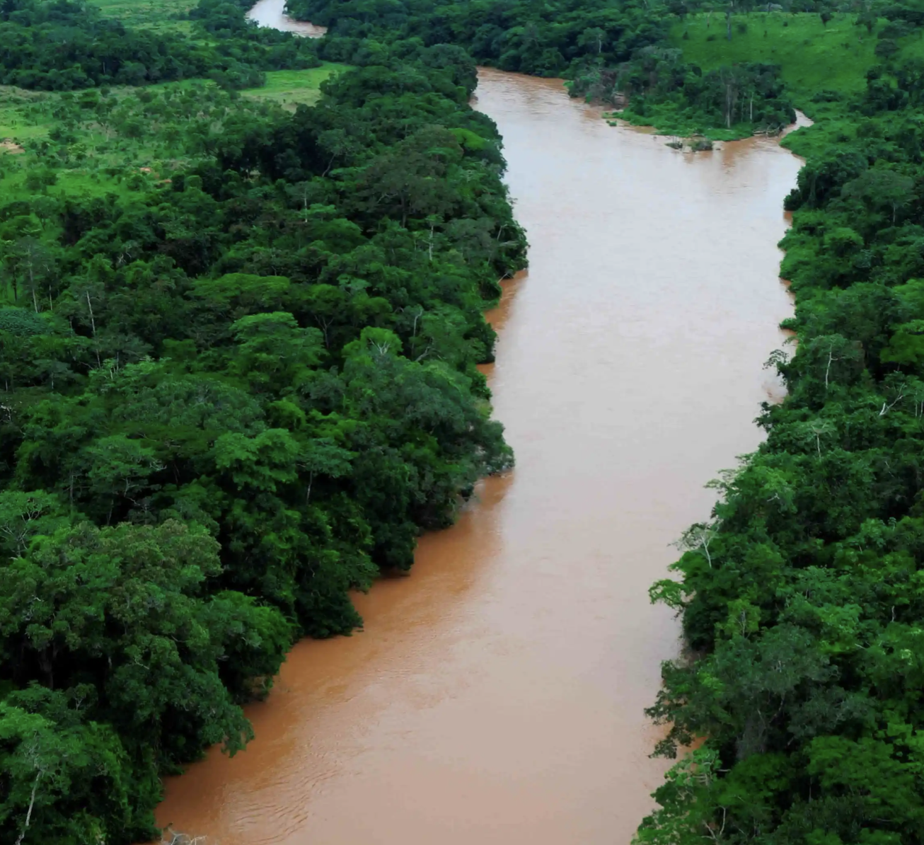 Река конго фото Sociedade Mineira de Catoca says there are no deaths or angolans affected due to