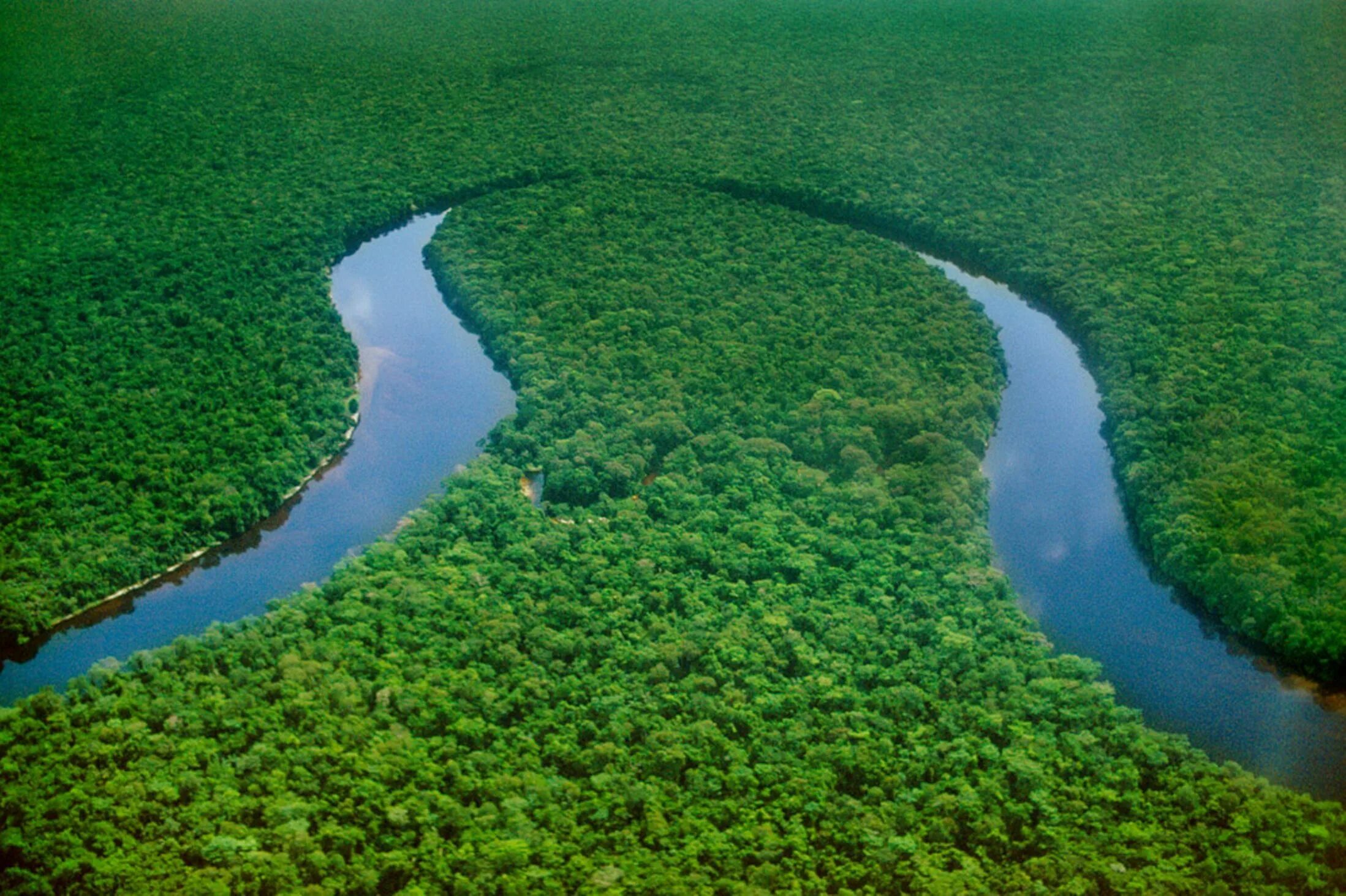 Река конго фото Top 10 Outstanding Congo River Facts