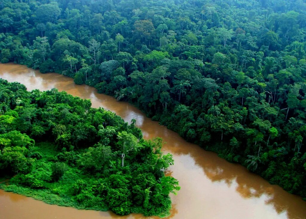 Река конго фото Congo River in Kisangani Aerial view. DRC aminah51 Flickr