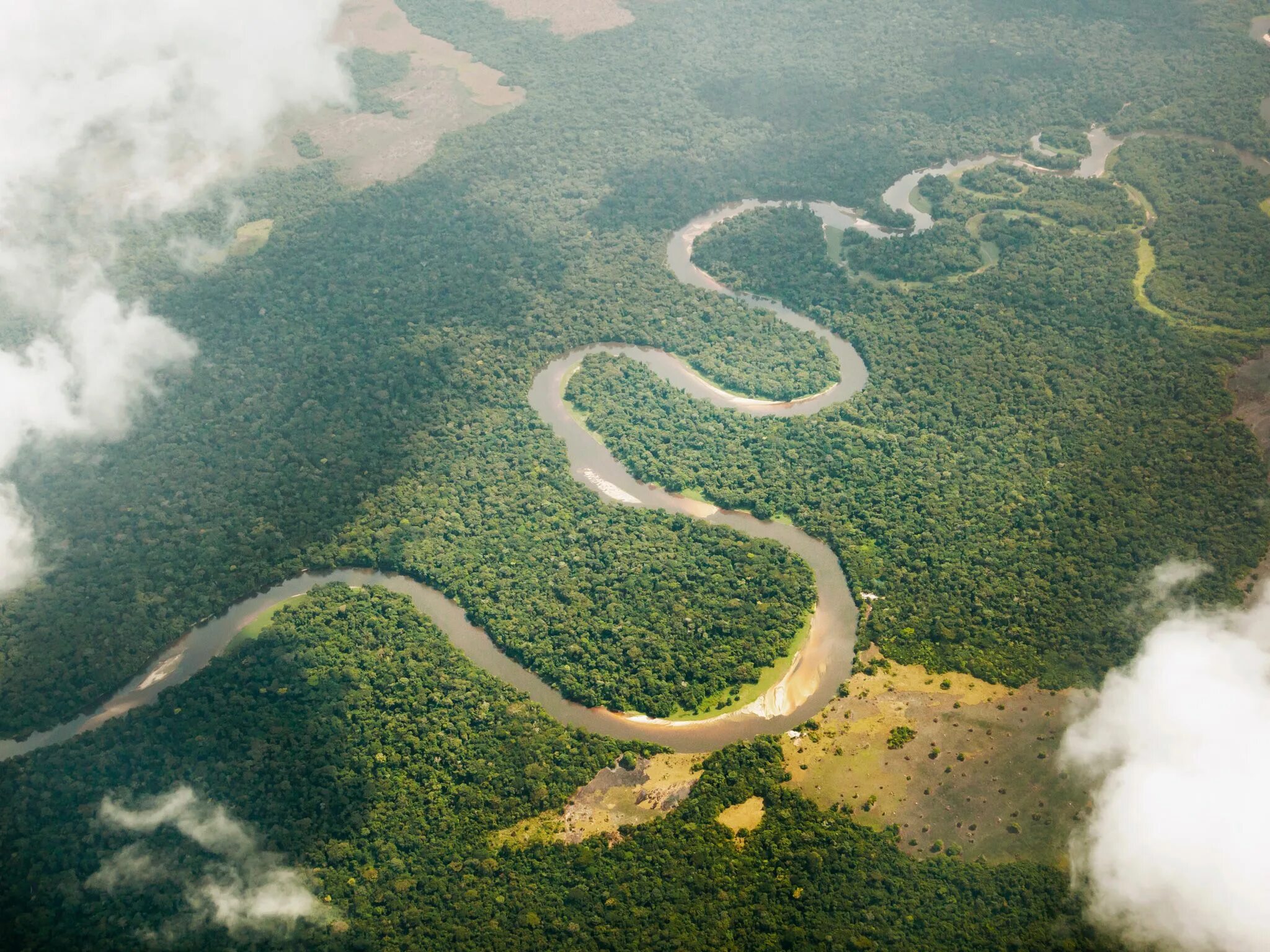 Река конго фото Discover the Wonders of the Congo River