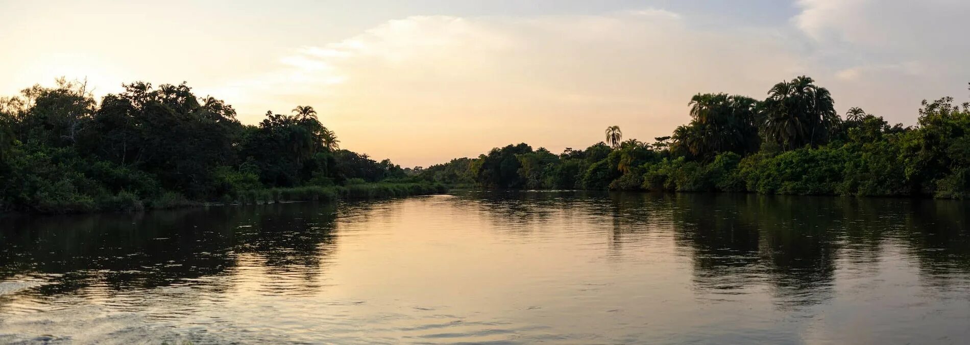 Река конго фото Congo River in Africa - Facts and Info Rhino Africa