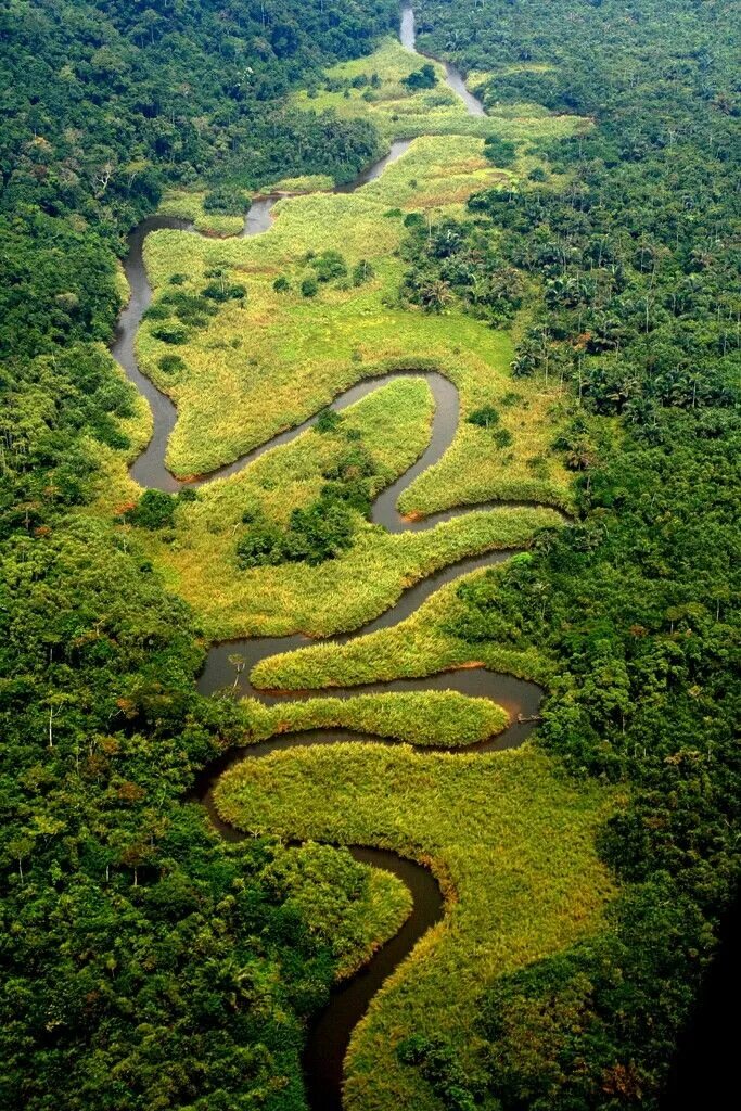 Река конго фото Pin by henrik on Africa Congo river, Africa, Wonders of the world