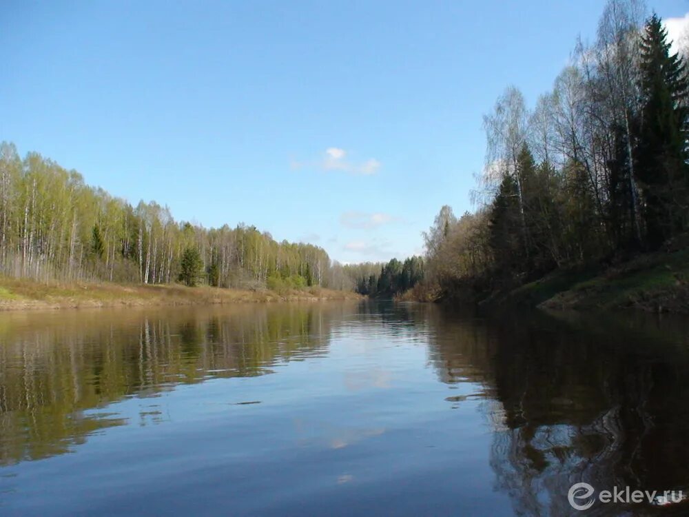 Река кострома фото Рыбалка на реке Кострома: каталог рыболовных туров