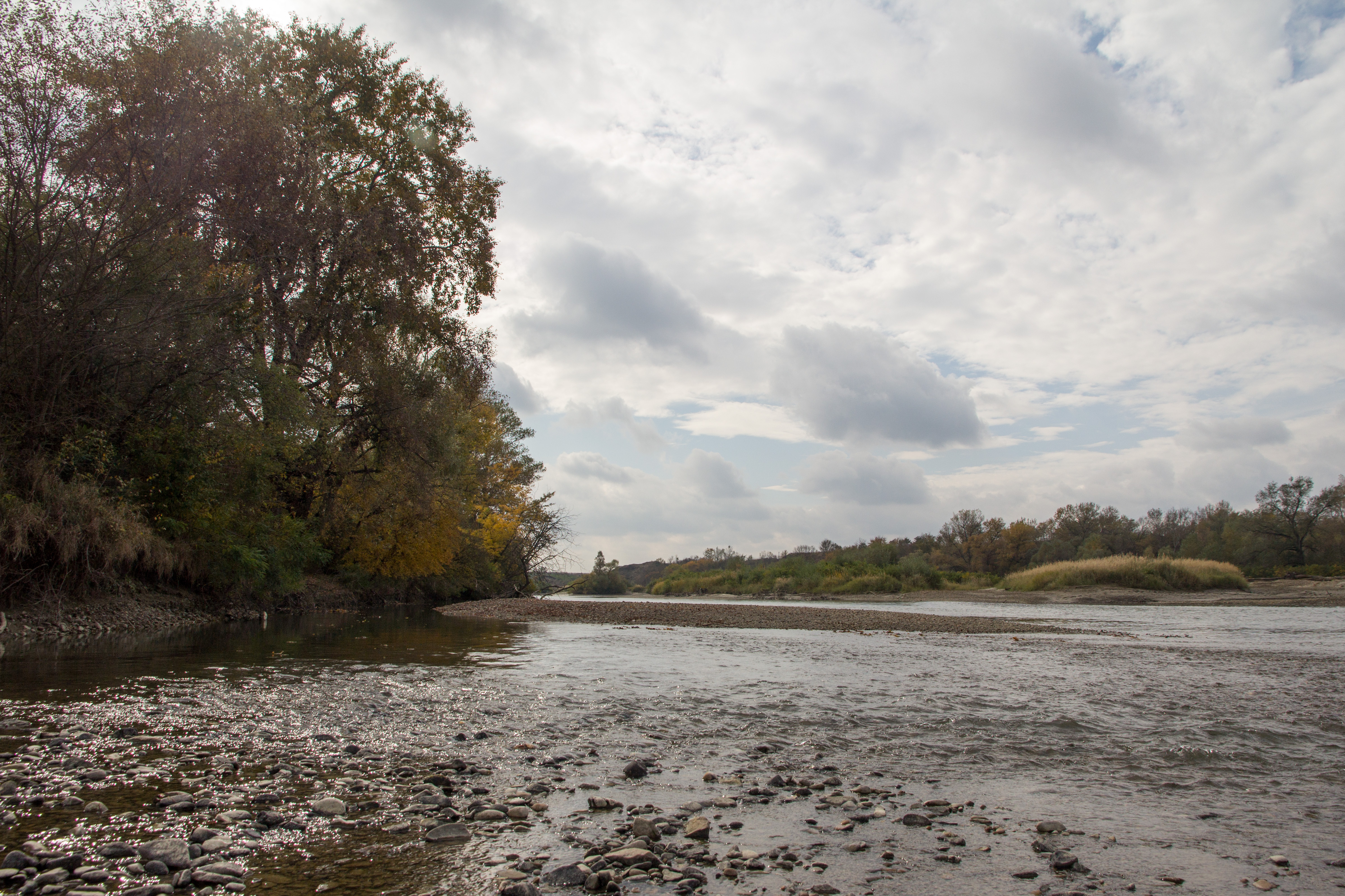 Река кубань фото File:Kuban River - panoramio (26).jpg - Wikimedia Commons