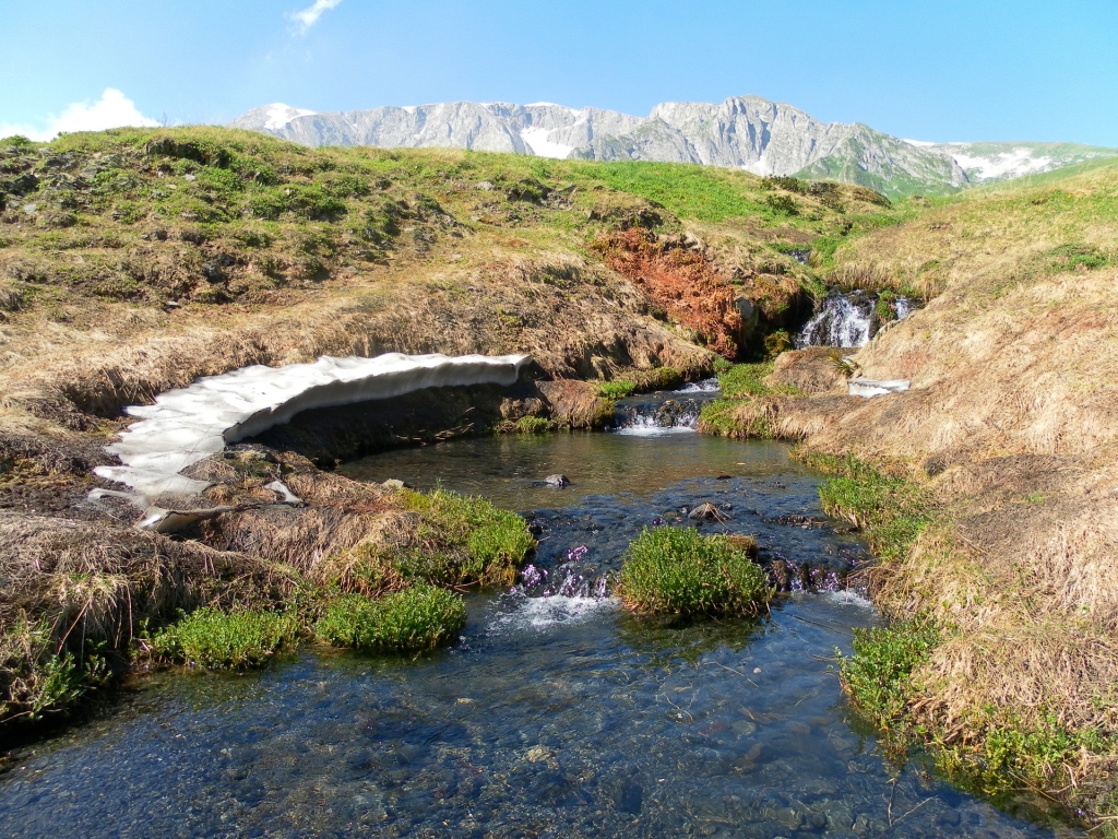 Река куда фото ПРОГУЛКИ ПО НАГОРЬЮ ЛАГО-НАКИ.