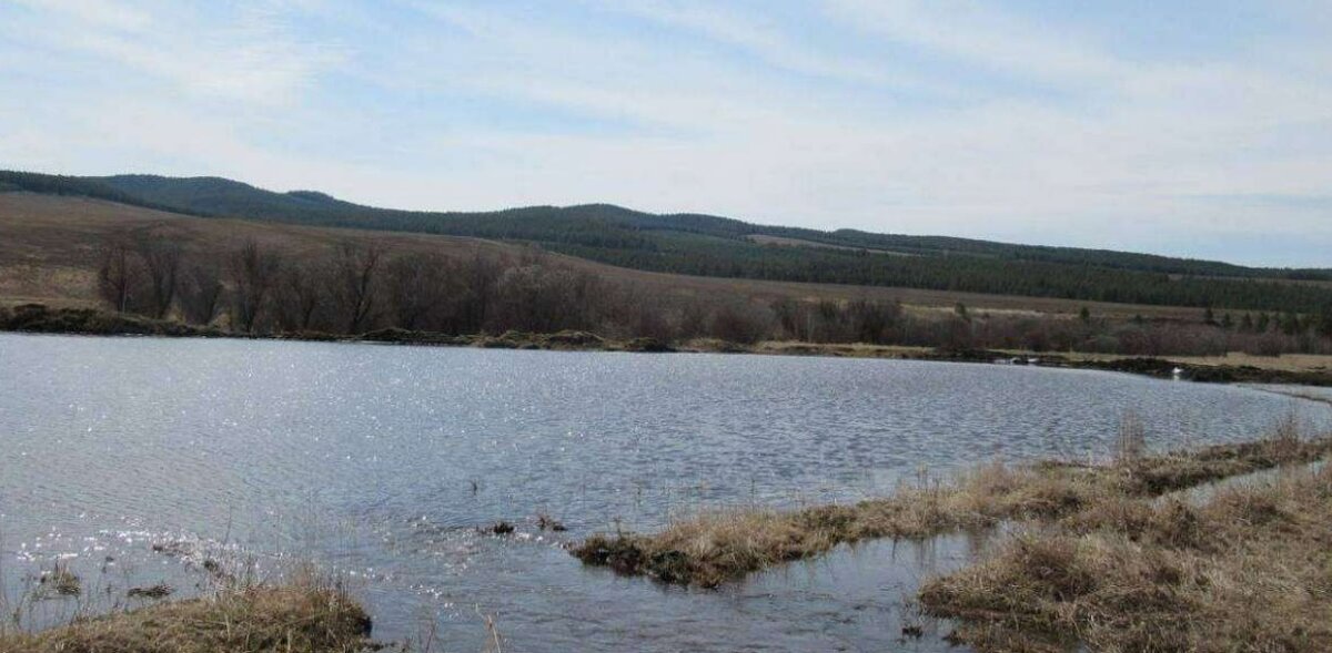 Река куда фото Течёт вода Кубань-реки куда велят большевики!" На Кубани мужчина изменил русло р