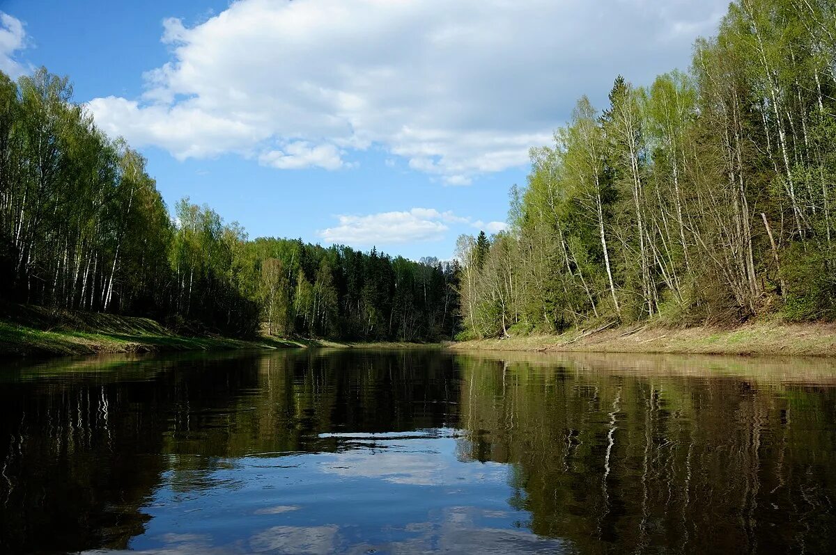 Река кунья фото Файл:Р. Кунья.jpg - Вікіпедія