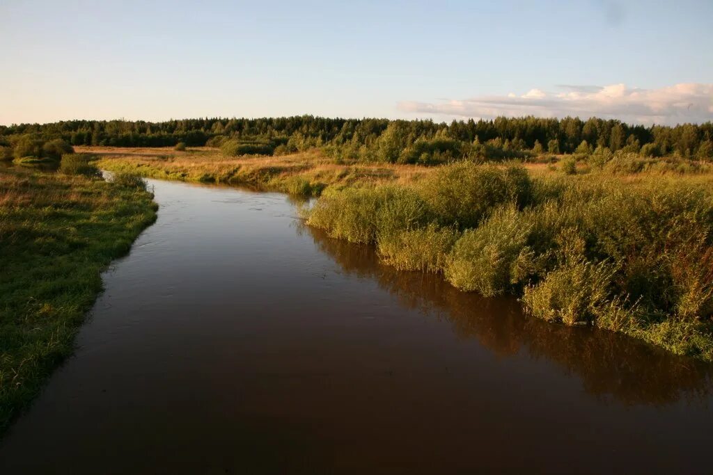 Река кунья фото Река Кунья Марийские Лесоходы