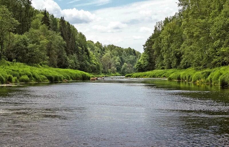 Река кунья фото Река Кунья Марийские Лесоходы