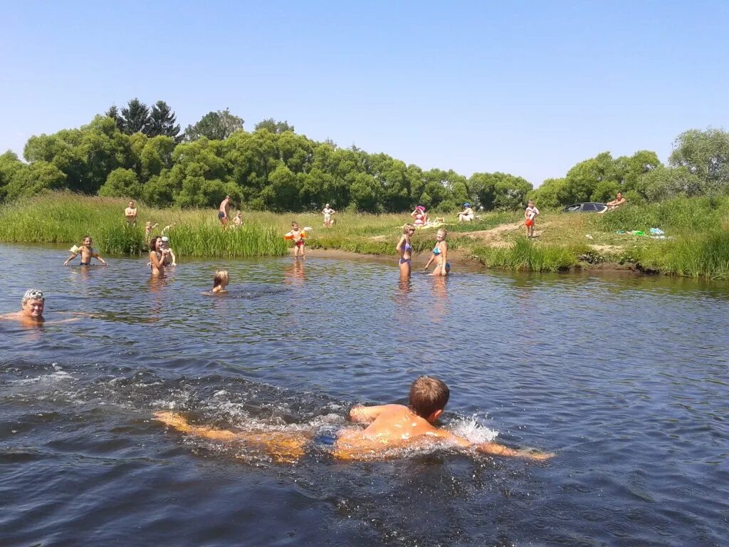 Река купание фото Безопасность на воде в летний сезон 2016