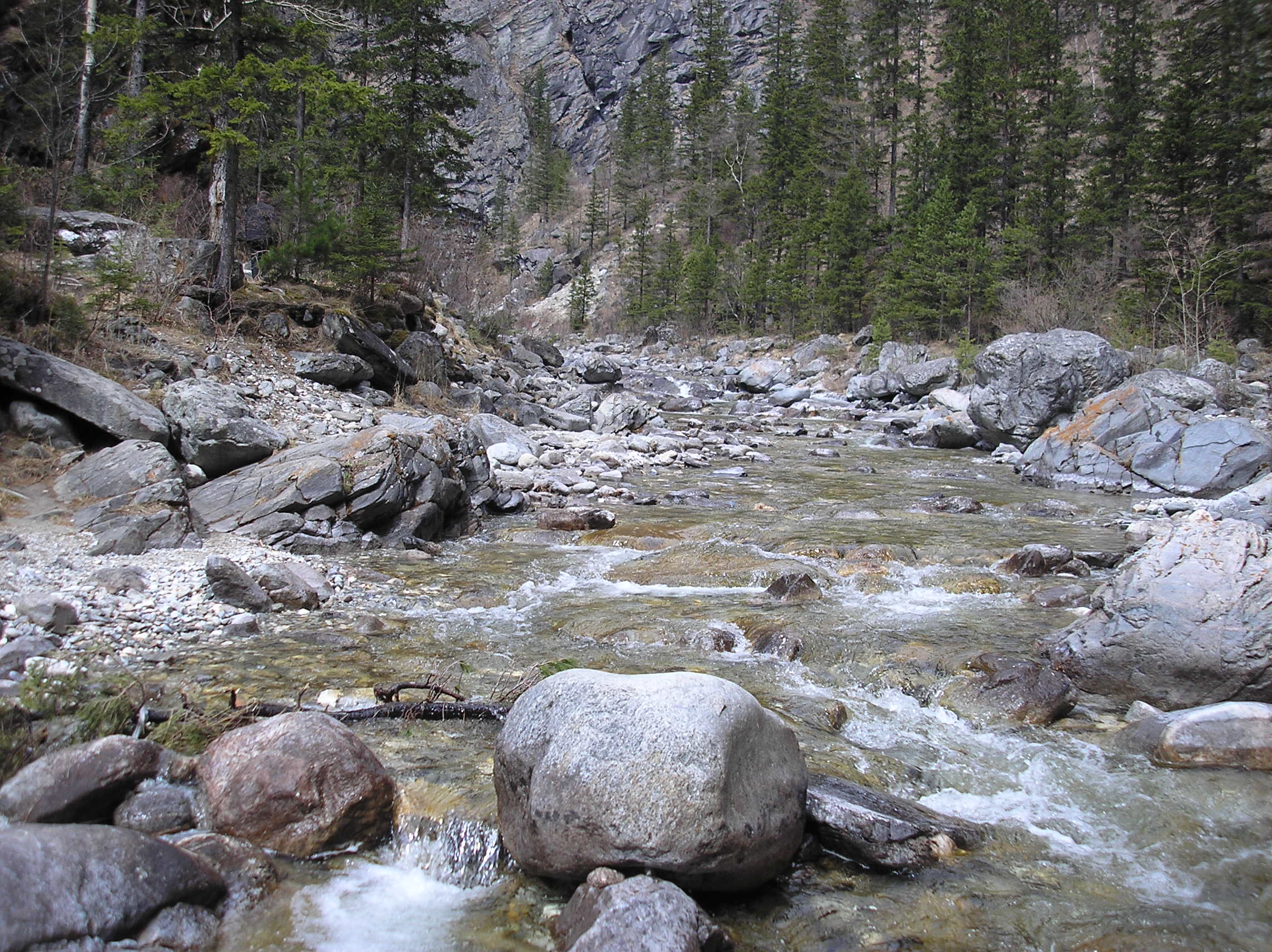 Река кынгарга фото Файл:Kyngyrga (river).jpg - Википедия