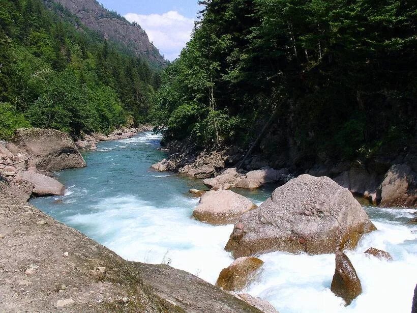 Река лаба краснодарский край фото Назовите крупнейшие реки Северного Кавказа.