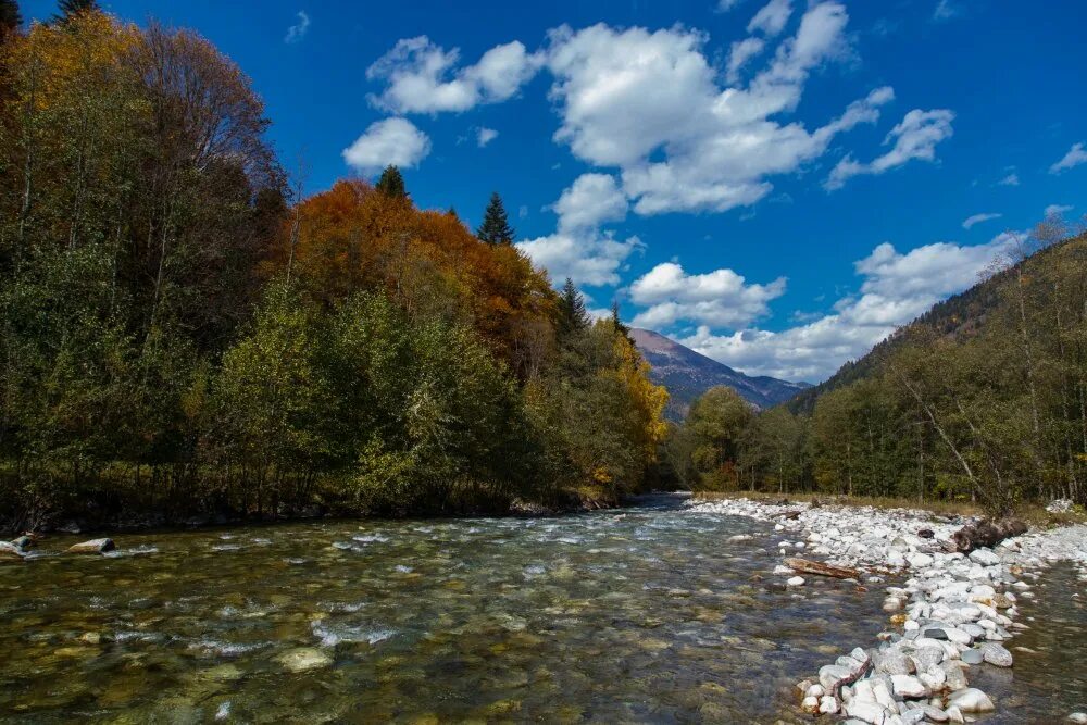 Река лаба краснодарский край фото Лаба река - Фото