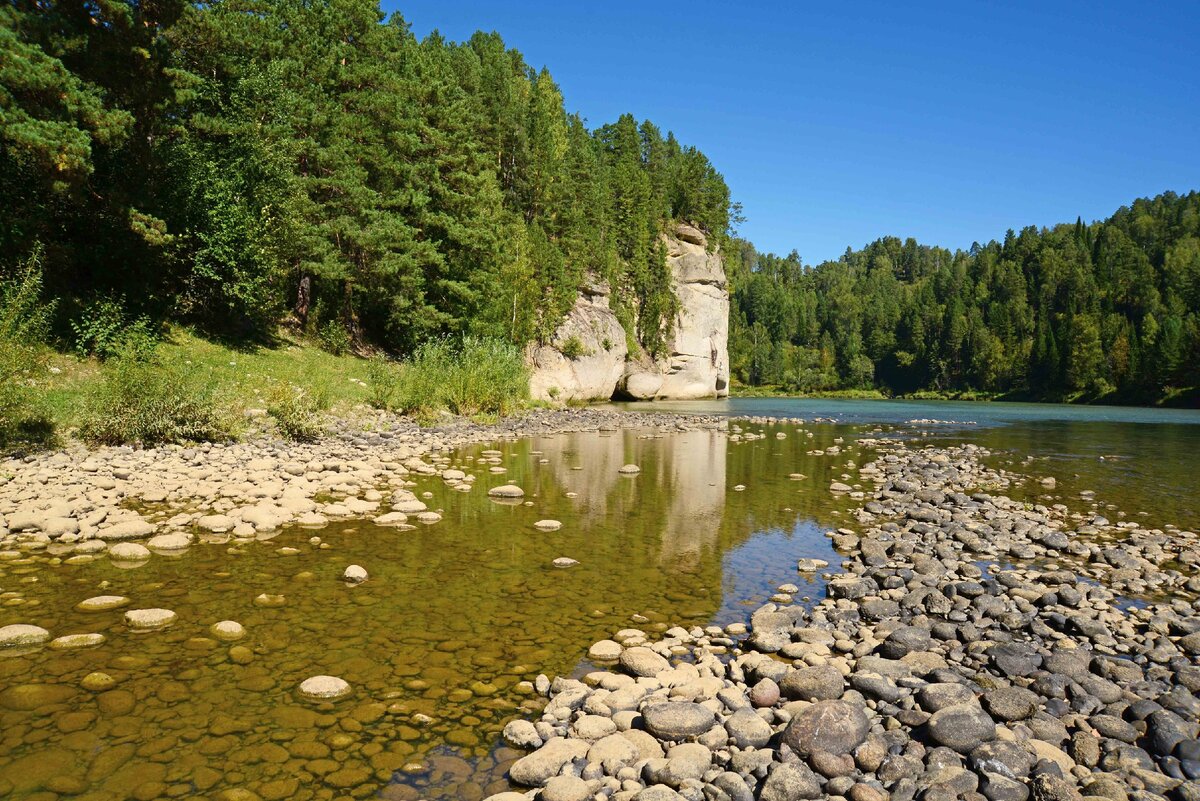 Река лебедь фото Река лебедь горный алтай - Quara.ru