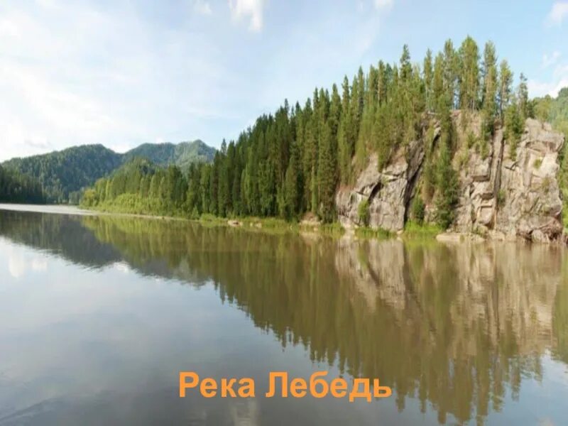 Река лебедь фото Река лебедь фото GoodPrints.ru