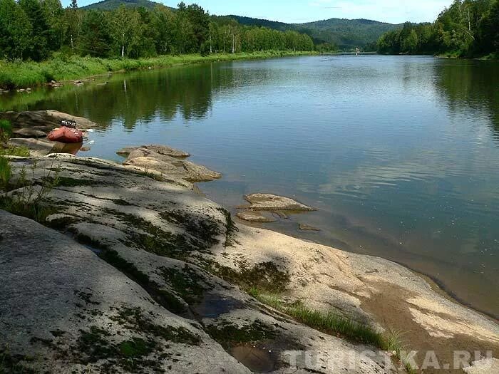 Река лебедь фото Фотографии : Горный Алтай : Река Лебедь : Река Лебедь