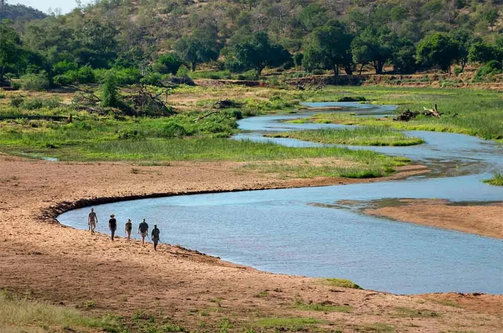 Река лимпопо фото Top 5 Walking Safaris in the Kruger National Park Sun Safaris Travel Blog