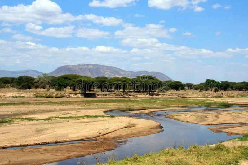 Река лимпопо фото African Landscape: Ruaha River In Dry Season Stock Image - Image of plain, branc