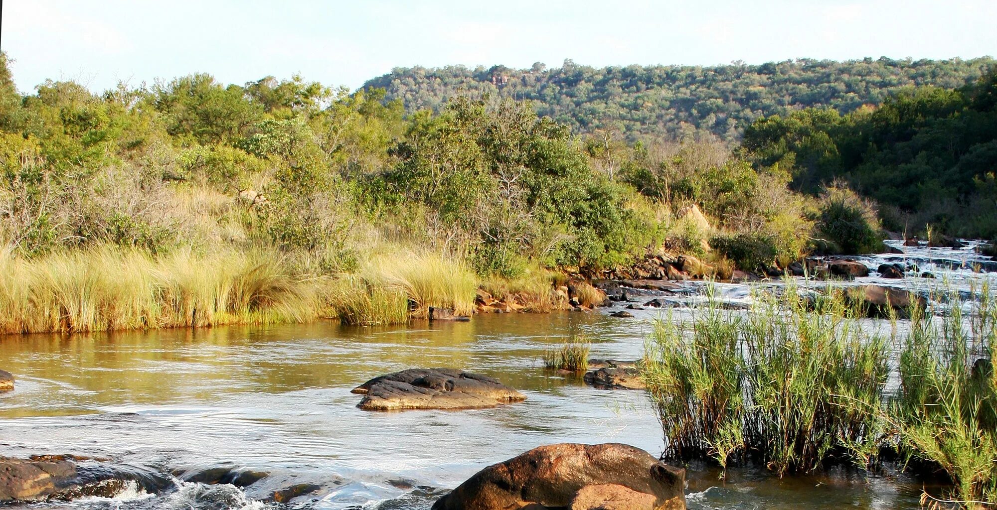 Река лимпопо фото Waterberg Savannah Biosphere Reserve, South Africa - Journeys by Design