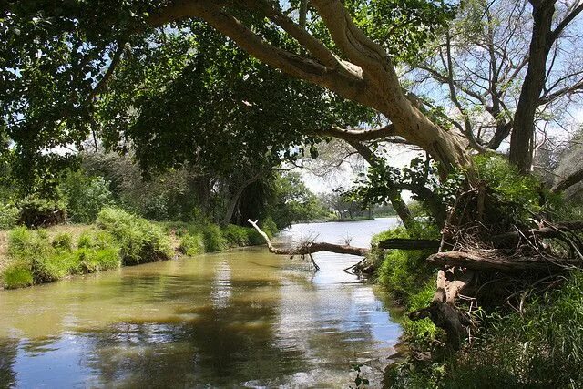 Река лимпопо фото Limpopo River Lake beach, River, Limpopo