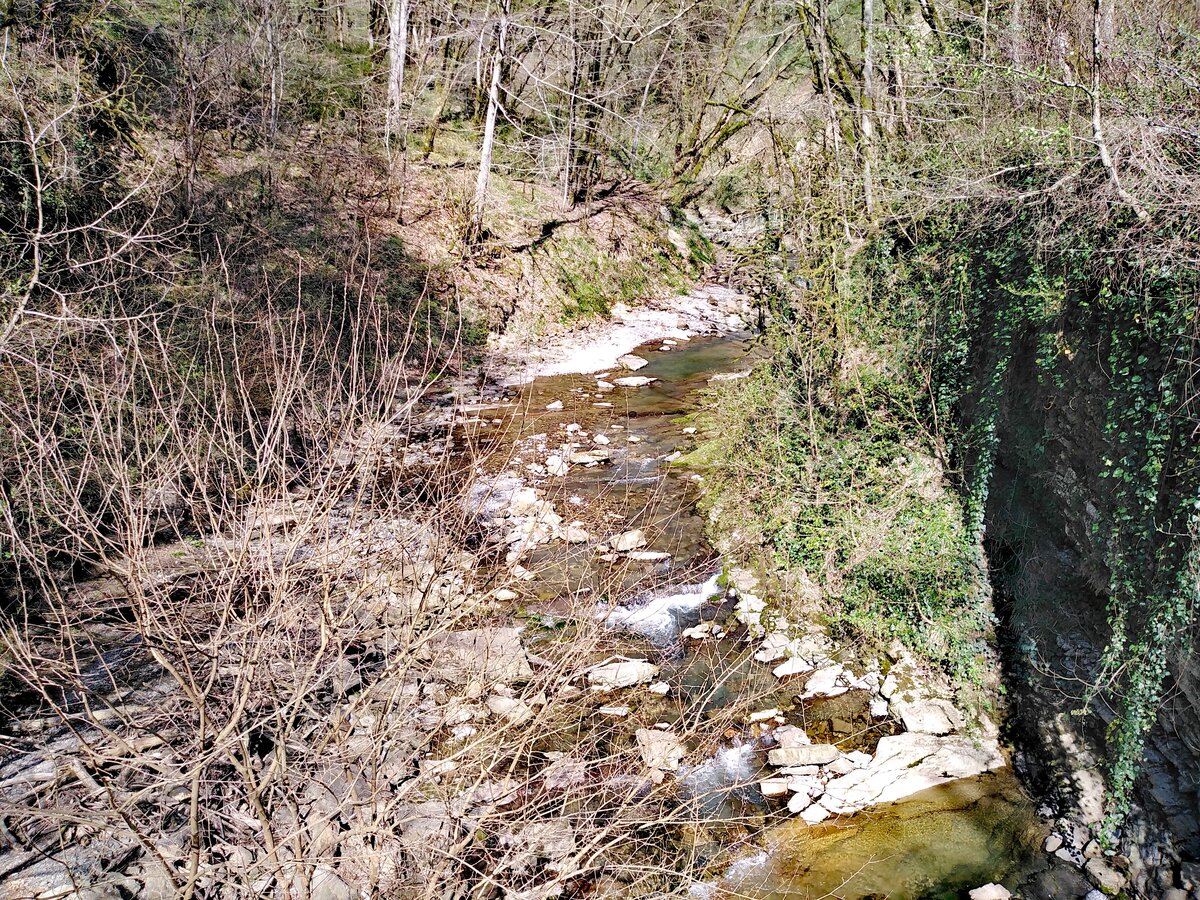 Река лоо фото Очень лёгкий и красивый маршрут в Сочи - водопад на реке Лоо Любимый Сочи со все