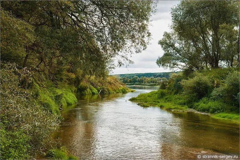 Река лопасня фото Август 1380-го. Рубикон великого князя / Выходные за городом / Дневники на Клерк