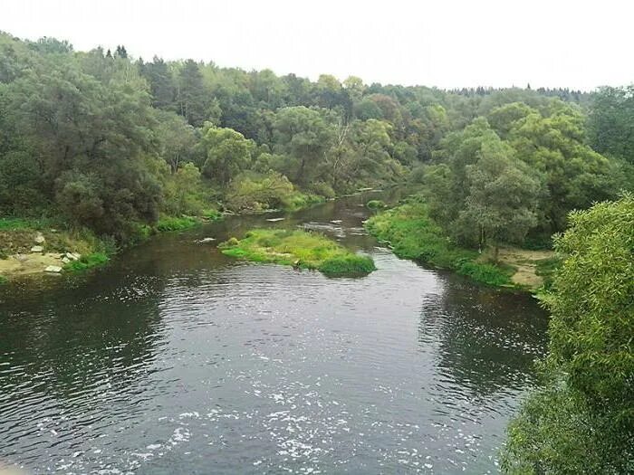 Река лопасня фото Лопасня (река): характеристика и фото