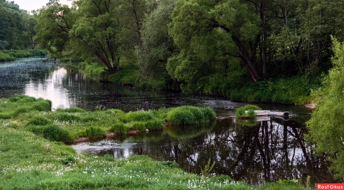 Река лопасня фото Фото: ***. Фотограф Владимир Безбородов. Пейзаж - Фотосайт Расфокус.ру