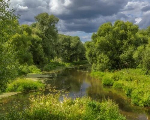 Река лопасня фото р. Лопасня. Photographer Martinenko Dmitriy