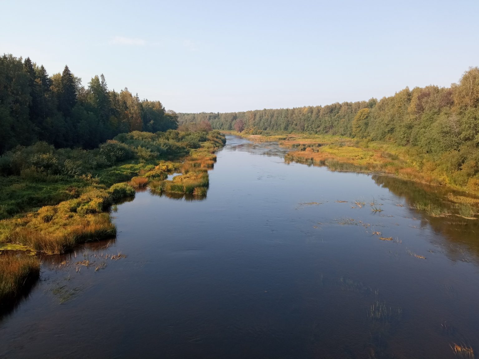 Река луга фото Сентябрь 2021 - По лесам и озёрам.