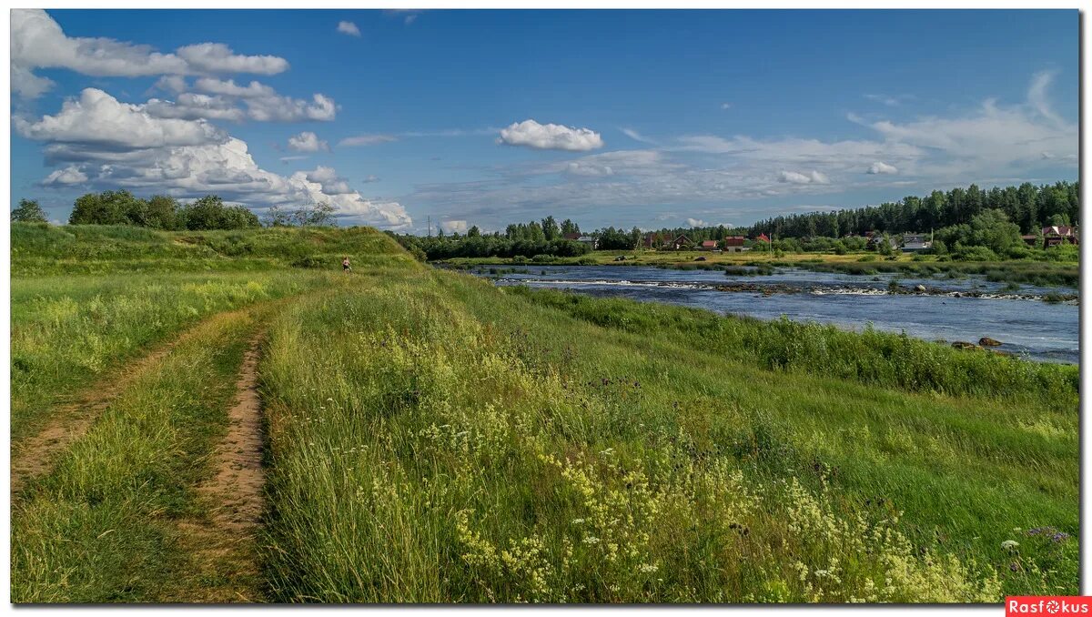 Река луга фото Фото: Кингисепп. Берег Луги. Фототурист ) massimo. Пейзаж. Фотосайт Расфокус.ру