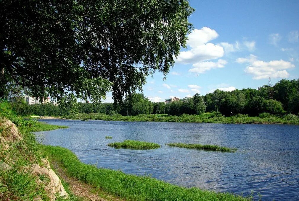 Река луга фото Луга (водск. Laukaa, ижор. Loukka, фин. Laukaanjoki) - река в Ленинградской и Но