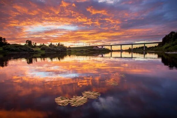 Река луга фото Sunset on the river Luga, Kingisepp, Leningrad region. Photo by Ilya Semin #Росс