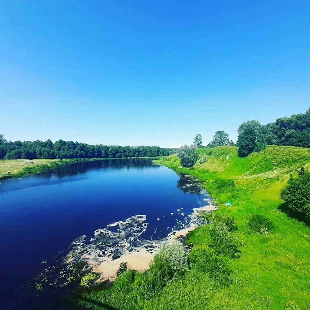 Река луга фото Берег реки Луга (много фото) - viewsnap.ru