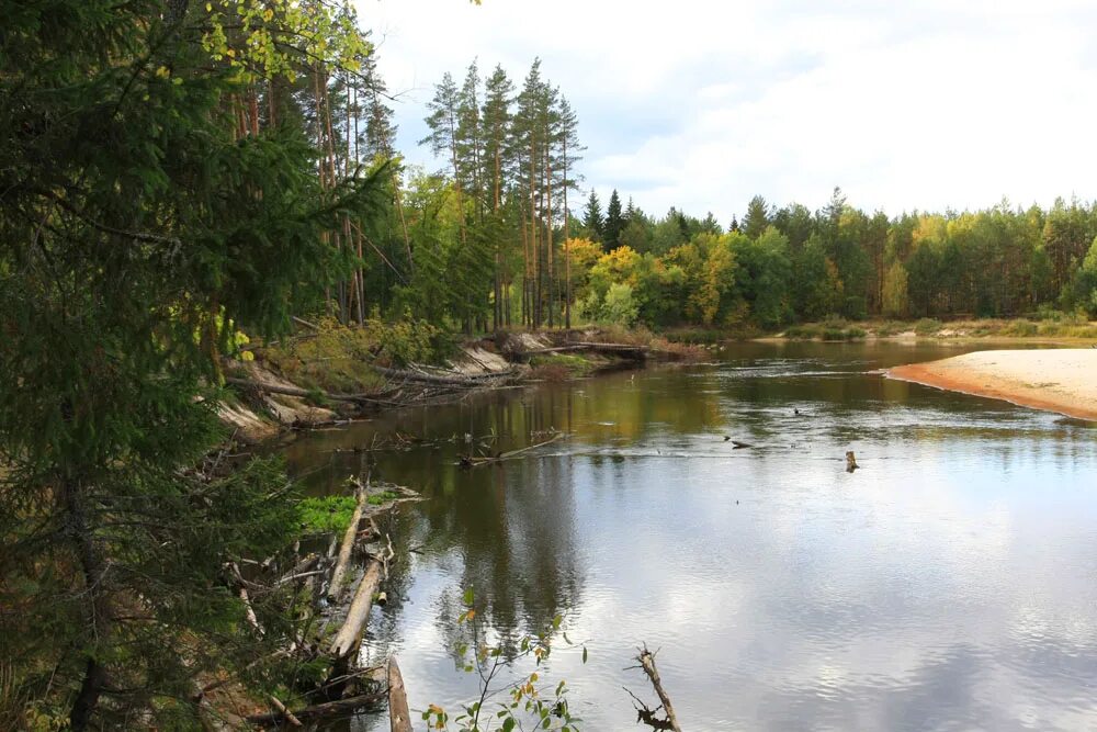 Река лух фото Река Лух в районе поселка Фролищи.