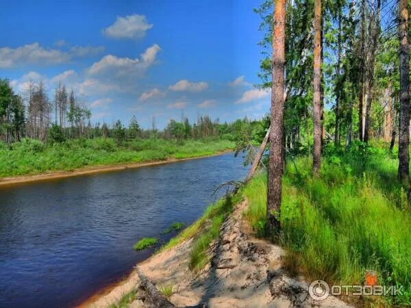 Река лух фото Отзыв о Сплав по реке Лух (Россия, Ивановская область) Отличный отдых по смешной